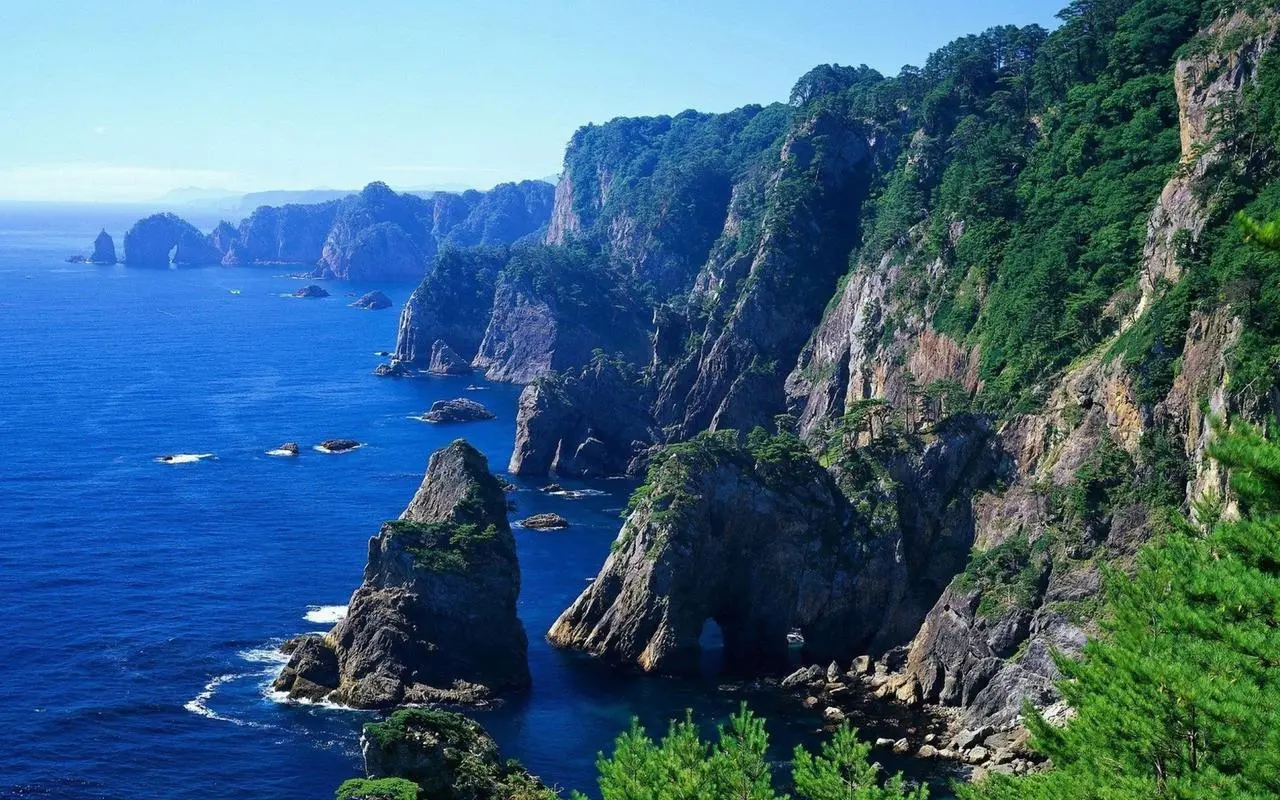 高精度稳定性全自动